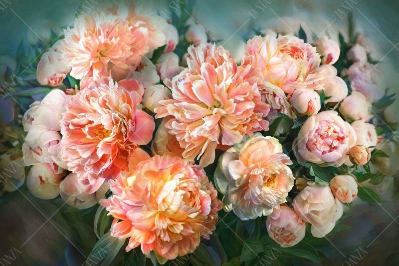 Фреска Цветы, цветочная коллекция арт. 800253