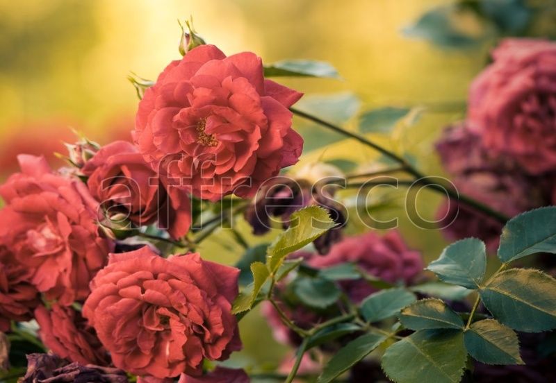 Фреска Ветка шиповника, арт. ID11708