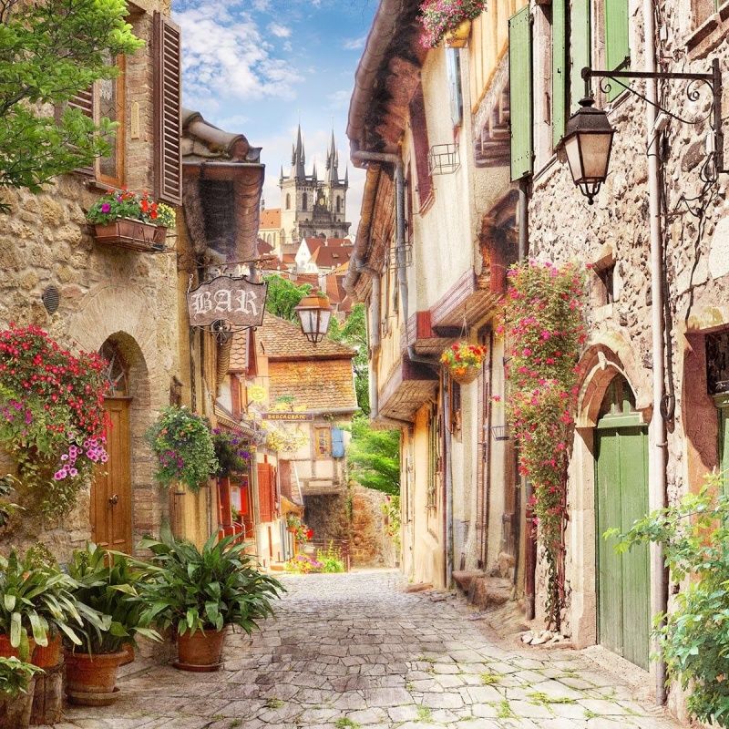 Фреска Современный Графический Дизайн 44232