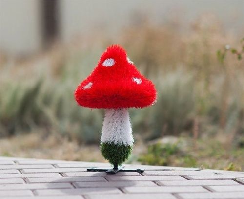 Мухомор малый (распродажа)