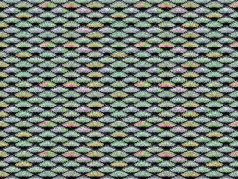 Фреска ALBA Textures арт. 800360