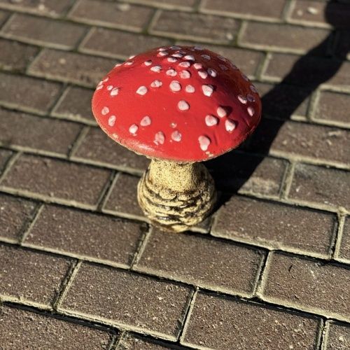 Гриб мухомор №2