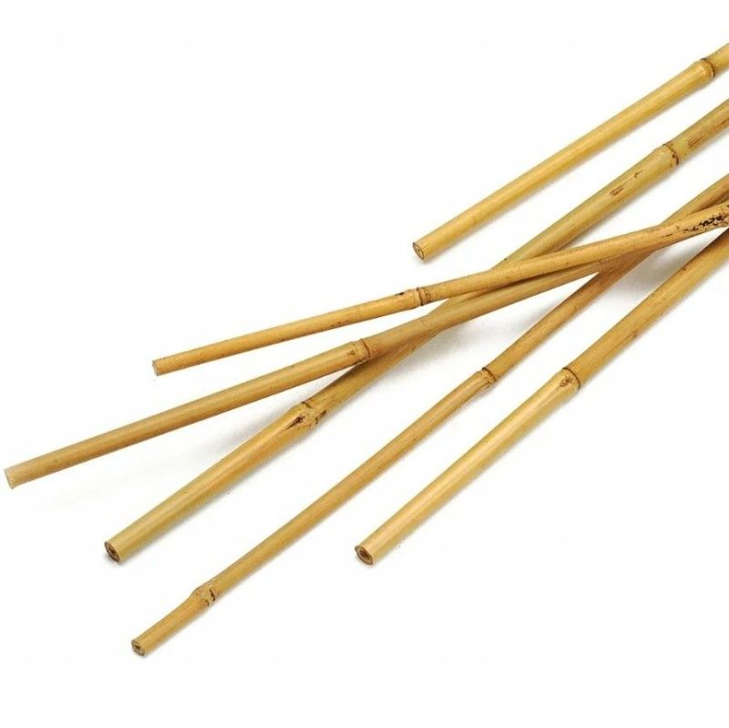 Бамбуковые опоры 60 см 8-10 мм 10 штук