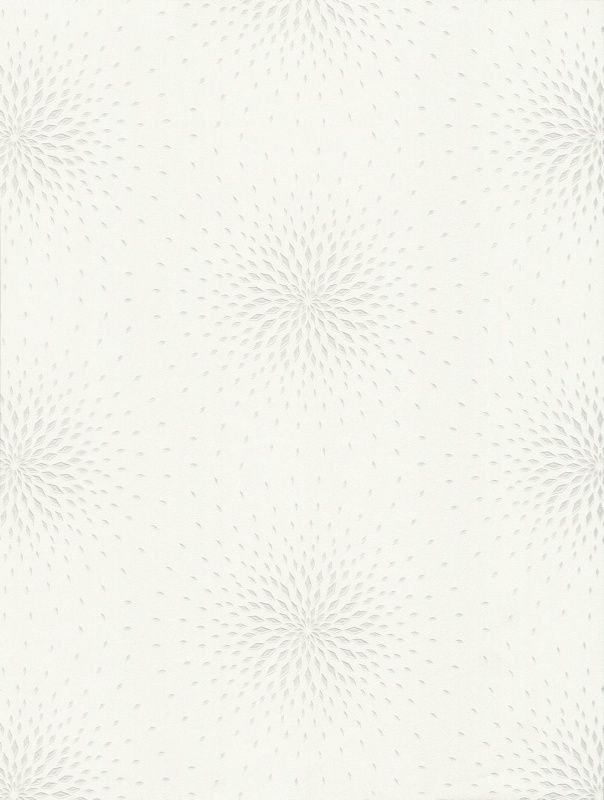 54358-1 Andrea Rossi Spectrum max 1,06 x 10,05