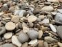 Природная галька "Каспийская" 5-50 мм