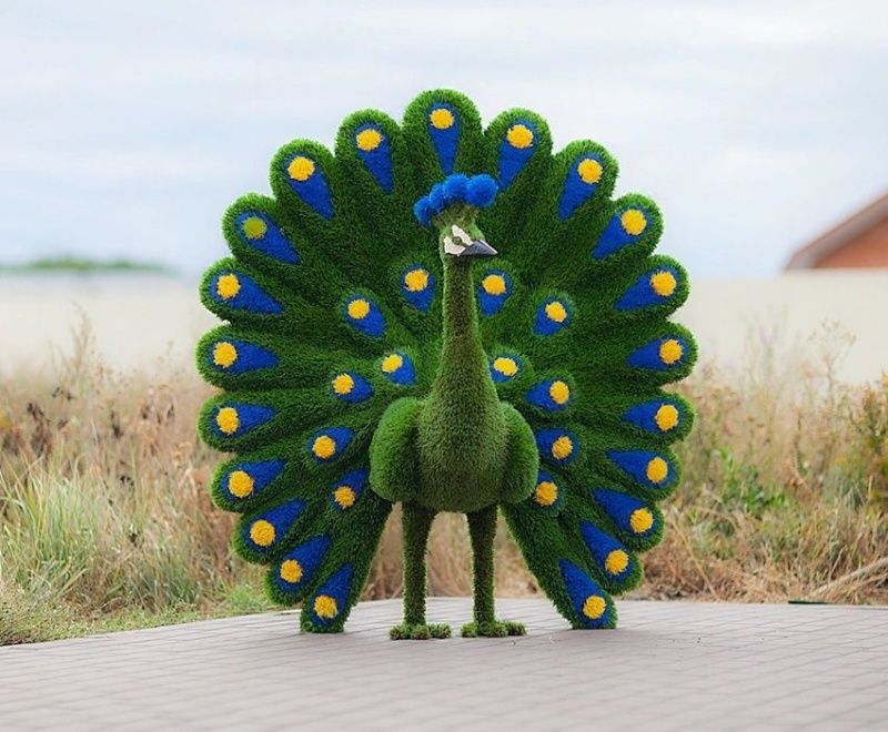 Топиар "Павлин НЭО" синий