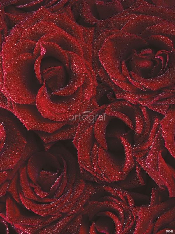 Фреска Розы Art.10542