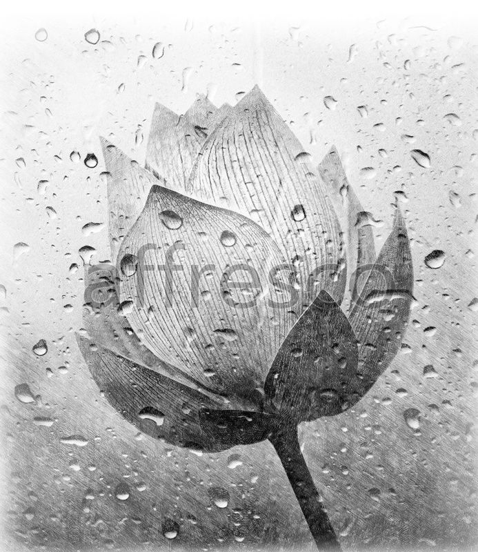 Фреска Рисунок лотоса, арт. ID136156