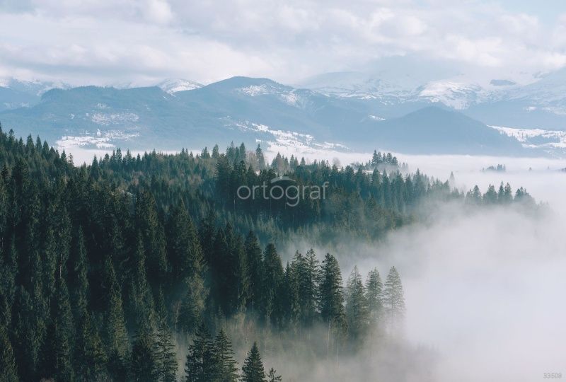 Фреска Лес и горные вершины Art.33608