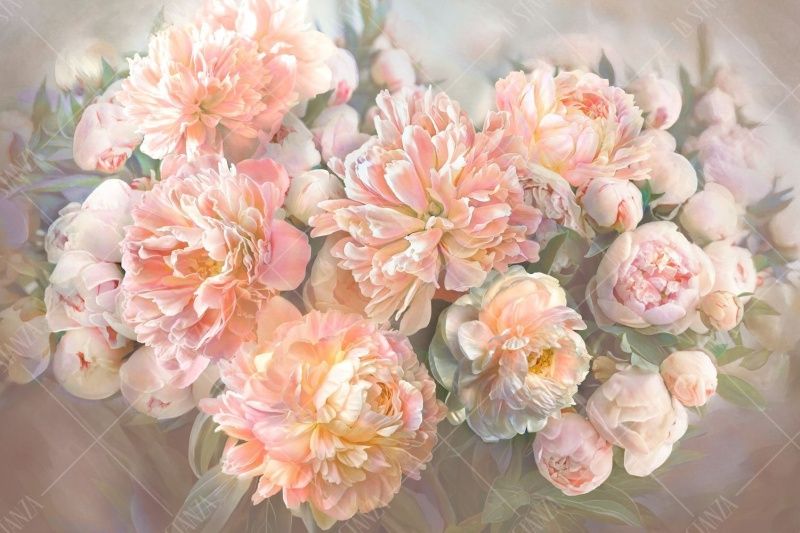 Фреска ALBA Flora арт. 800251