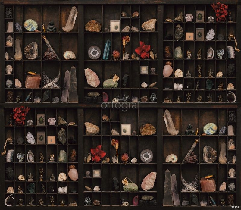 Фреска Полки колекционера Art.33757