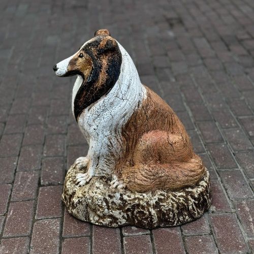 Собака Колли цветная