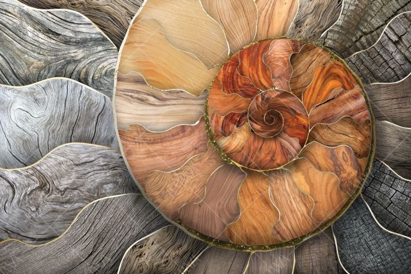 Фреска Тренды Симфония текстур арт. 980226