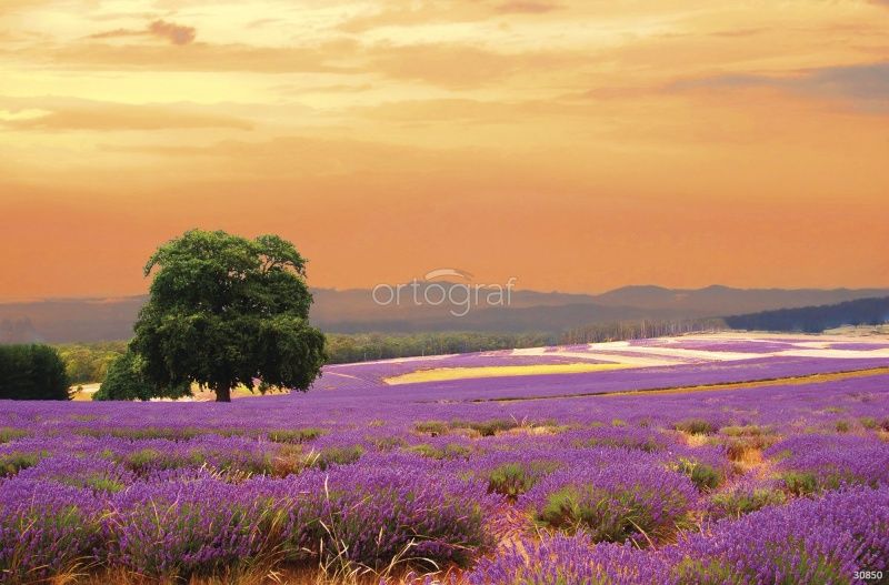 Фреска Лавандовое поле на закате Art.30850