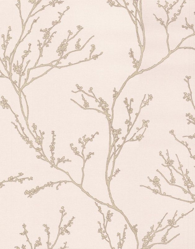 54360-5 Andrea Rossi Spectrum max 1,06 x 10,05