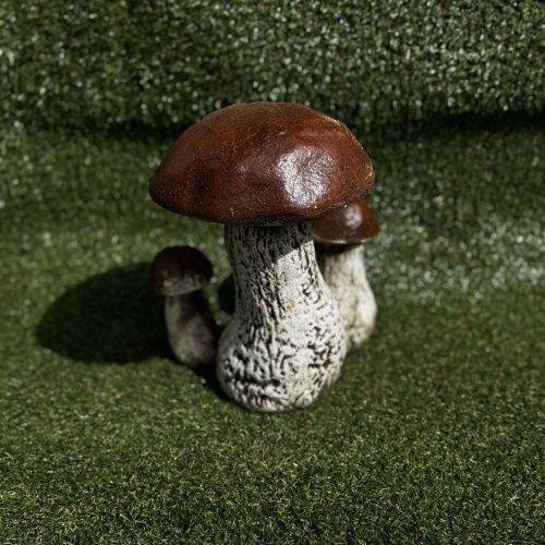 Гриб белый тройной