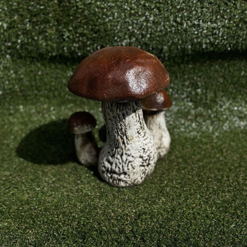 Гриб белый тройной