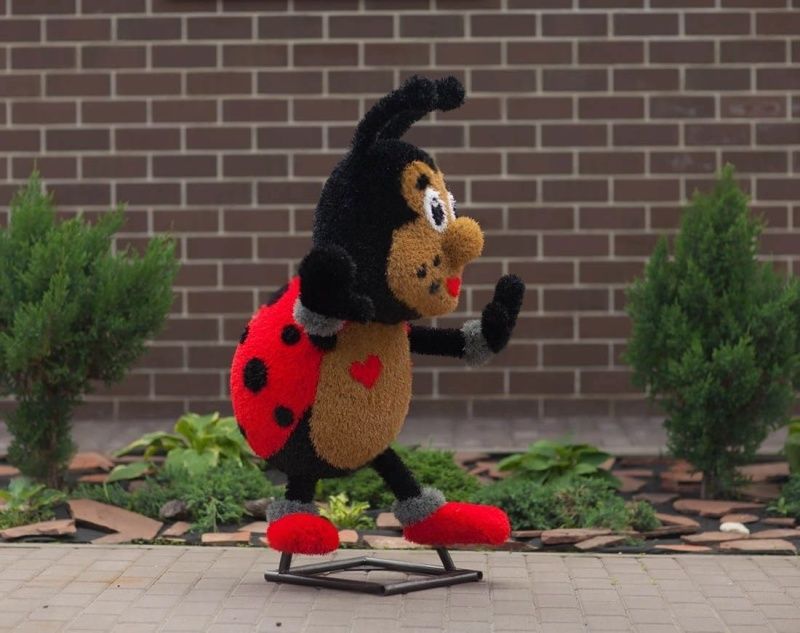 Божья коровка мальчик