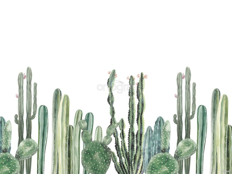 Фреска Cactus Watercolor Art.34345