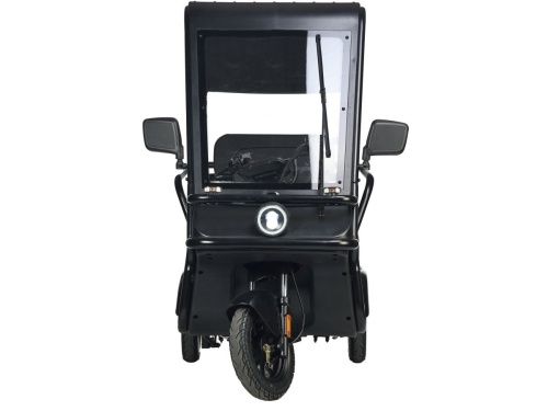 Электротрицикл Wanshida NIPLA 500 60V 1000Вт