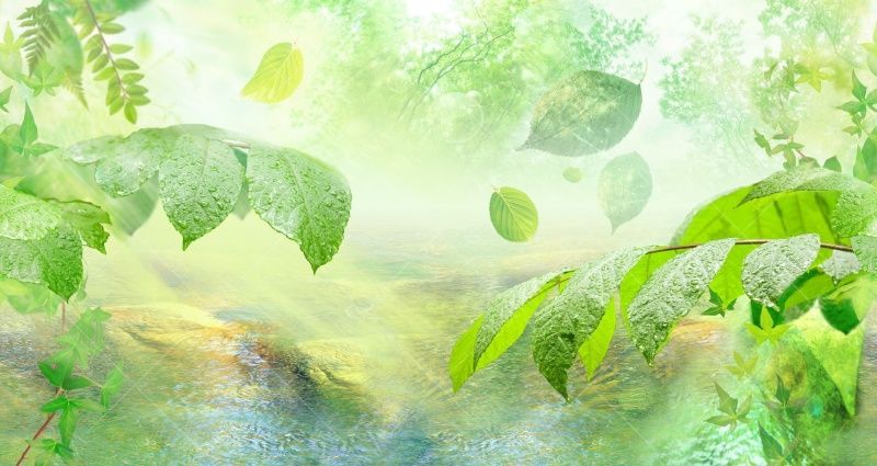 Фреска Эко панно — Листья, лес, вода, лучи