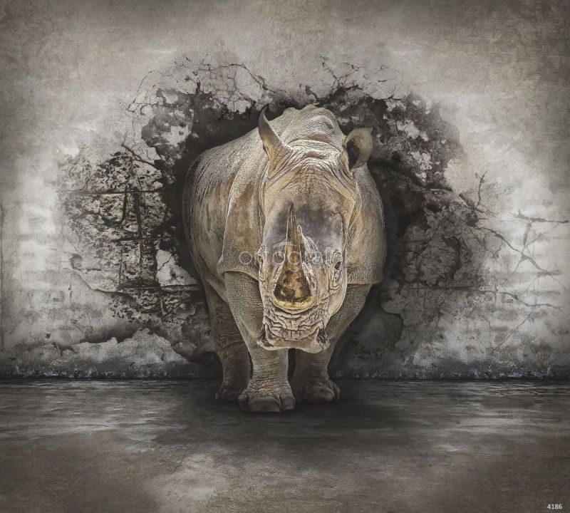 Фреска Носорог Art.4186