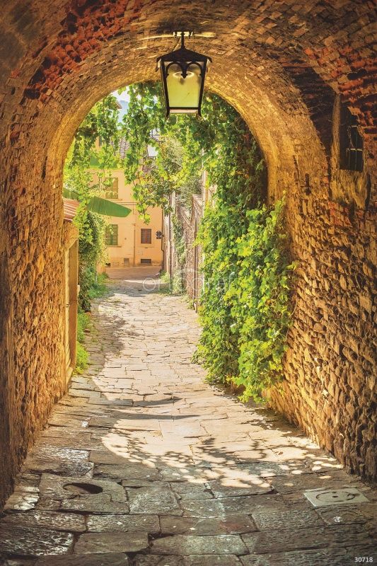 Фреска Странная арка Art.30718